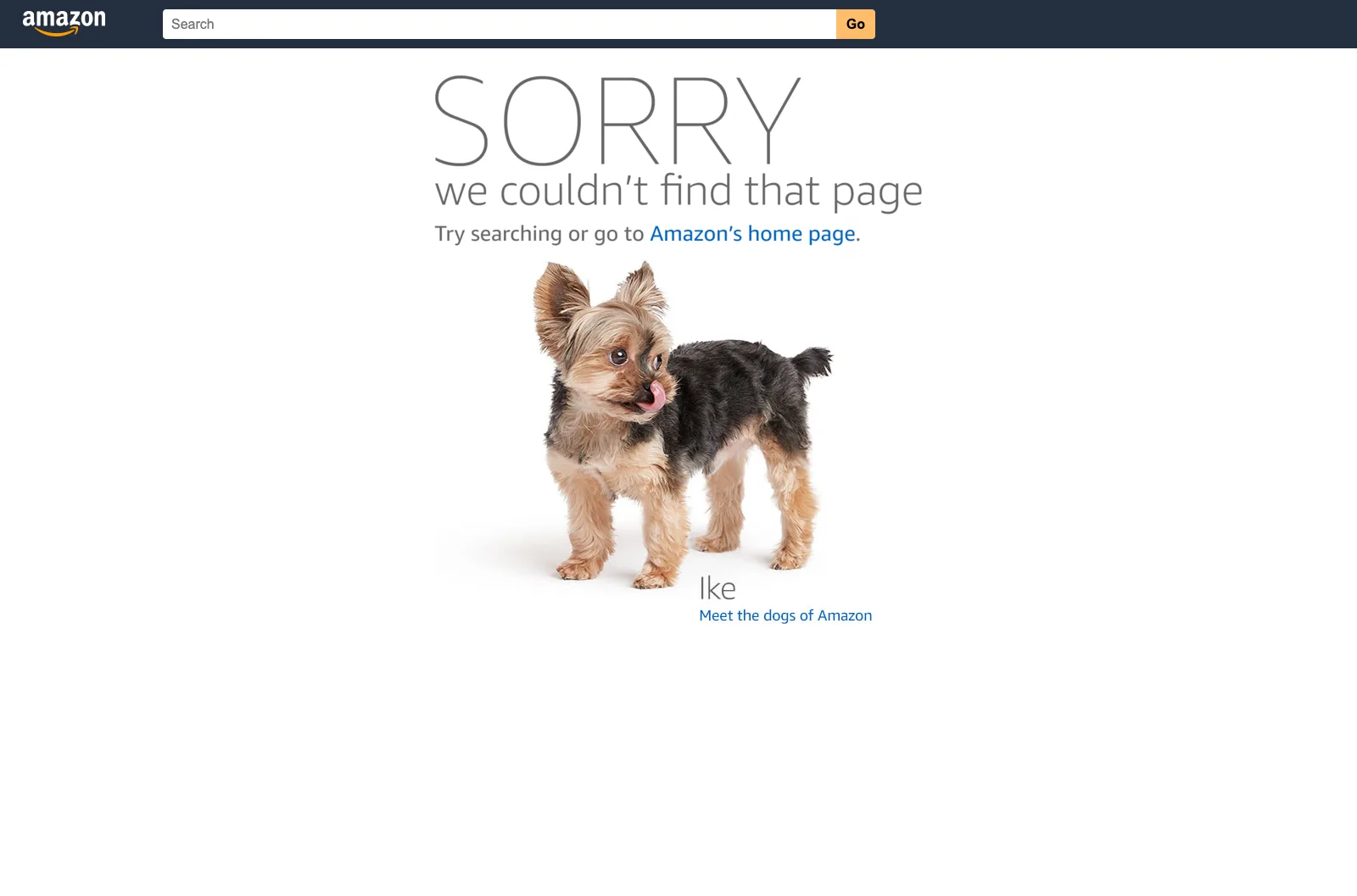 Amazon screenshot 2